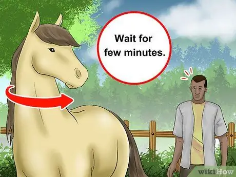 Поймать лошадь Шаг 5
