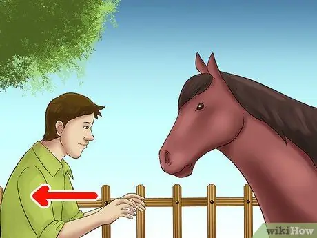 Поймать лошадь Шаг 7