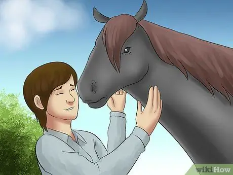 Поймать лошадь Шаг 8