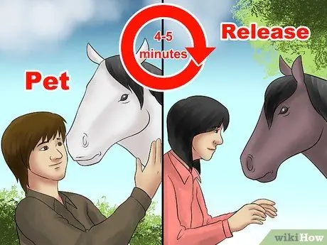 Поймать лошадь Шаг 9