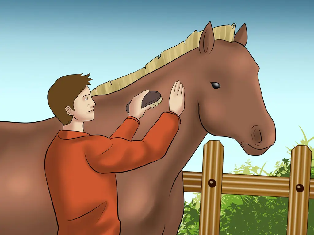Как поймать лошадь (с картинками)