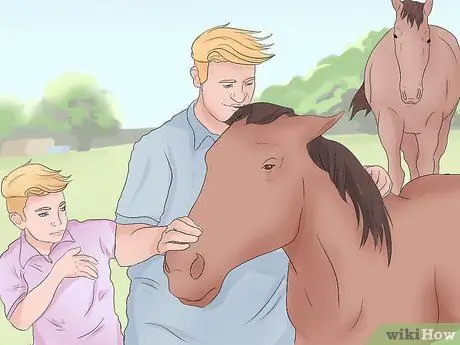 Поймать дикую лошадь Шаг 1