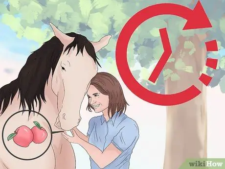 Поймать дикую лошадь Шаг 10