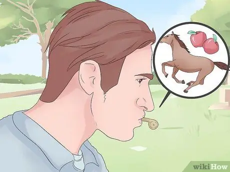 Поймать дикую лошадь Шаг 12