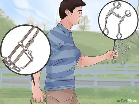 Поймать дикую лошадь Шаг 2