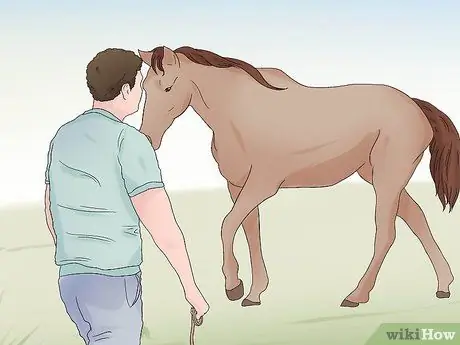 Поймать дикую лошадь Шаг 3