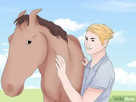 Поймать дикую лошадь Шаг 5