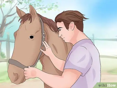 Поймать дикую лошадь Шаг 6