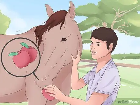 Поймать дикую лошадь Шаг 9