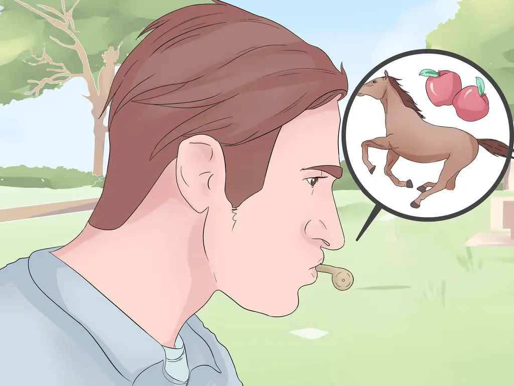 Как поймать дикую лошадь: 12 шагов (с иллюстрациями)