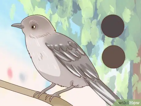 Определить пересмешника Шаг 3