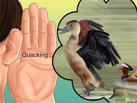 Определить утку-мандаринку Шаг 10