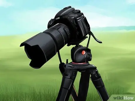 Определить утку-мандаринку Шаг 9