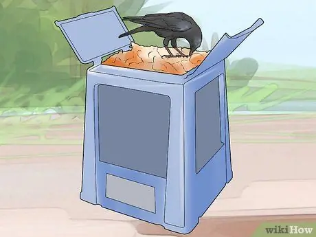 В чем разница между воронами и воронами? Шаг 15