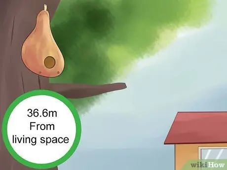 Привлечь Purple Martins Шаг 1