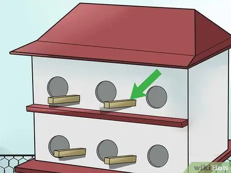 Привлечь Пурпурных Мартинс Шаг 12