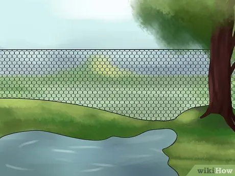 Привлечь Пурпурных Мартинс Шаг 4