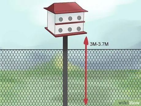 Привлечь Пурпурных Мартинс Шаг 9