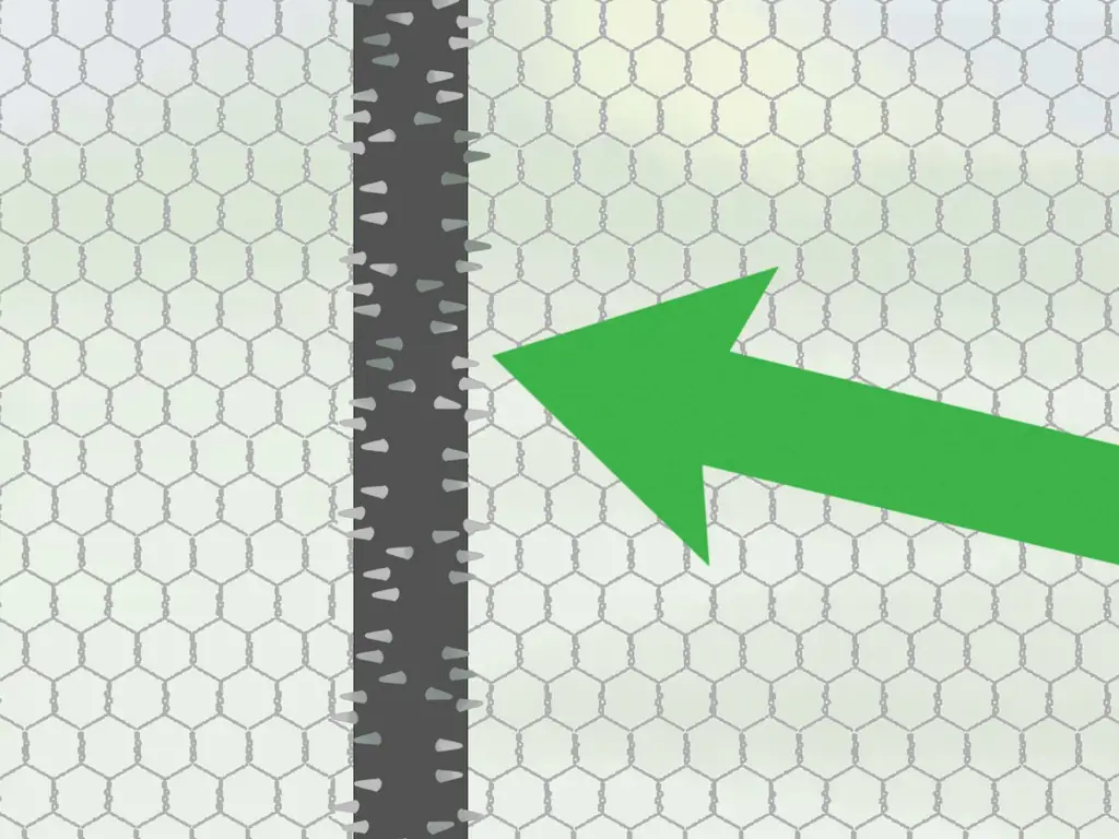 3 способа привлечь Purple Martins