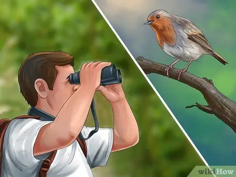 Будьте орнитологом Шаг 10