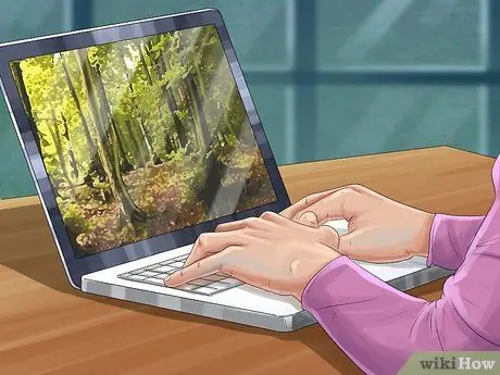 Будьте орнитологом Шаг 7