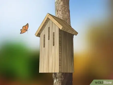 Создание сада бабочек и колибри Шаг 11