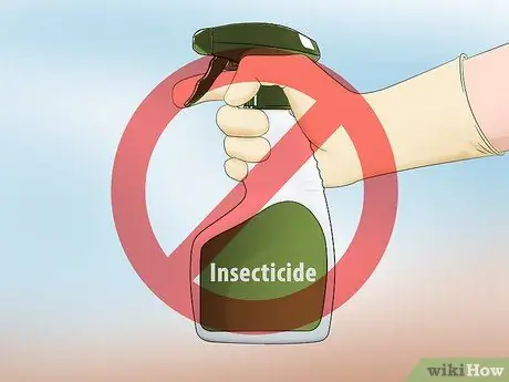 Создание сада бабочек и колибри Шаг 12