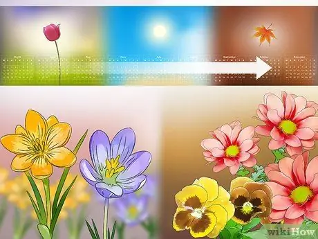 Создание сада бабочек и колибри Шаг 4