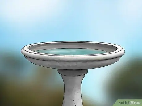 Создание сада бабочек и колибри Шаг 7