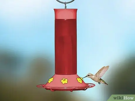 Создание сада бабочек и колибри Шаг 9