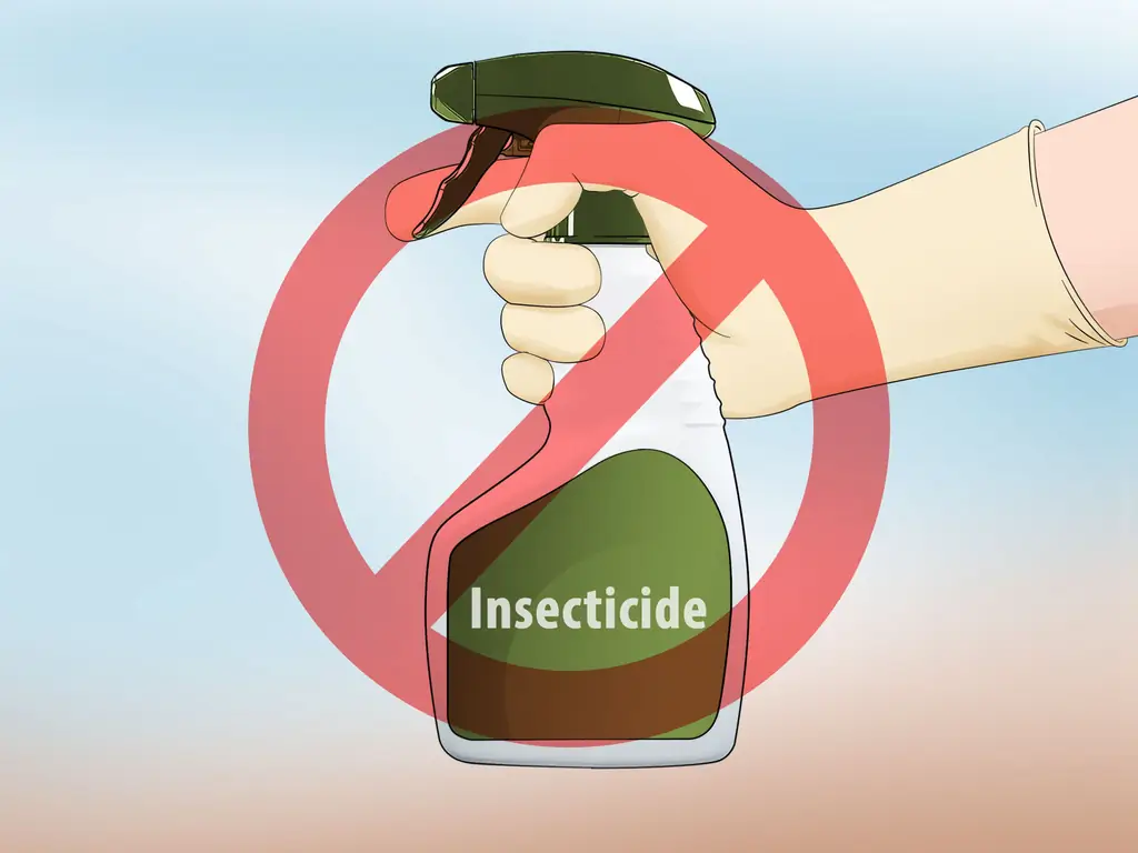 Как создать сад бабочек и колибри: 12 шагов