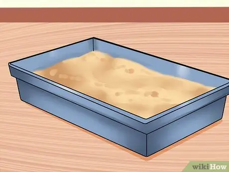 Уход за домашними кошками Шаг 4