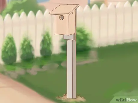 Постройте домик для синей птицы Шаг 18