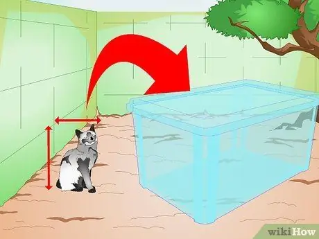 Постройте кошачий домик, шаг 2