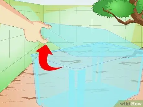 Постройте кошачий домик, шаг 3