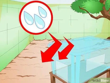 Постройте кошачий домик Шаг 6