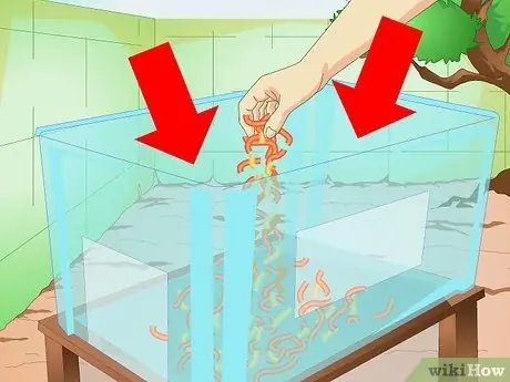 Постройте кошачий домик Шаг 8