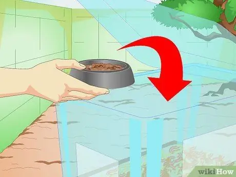 Постройте кошачий домик Шаг 9