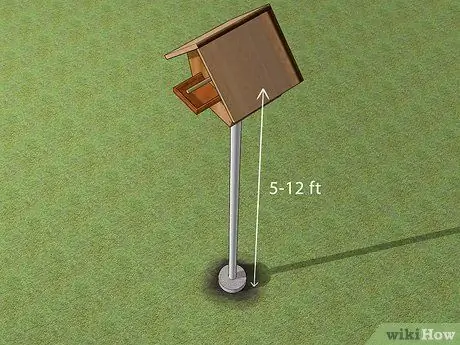 Повесьте птичий домик Шаг 6