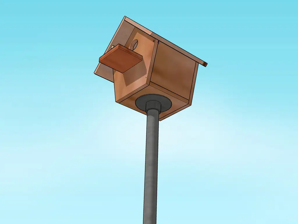 4 простых способа повесить птичий домик