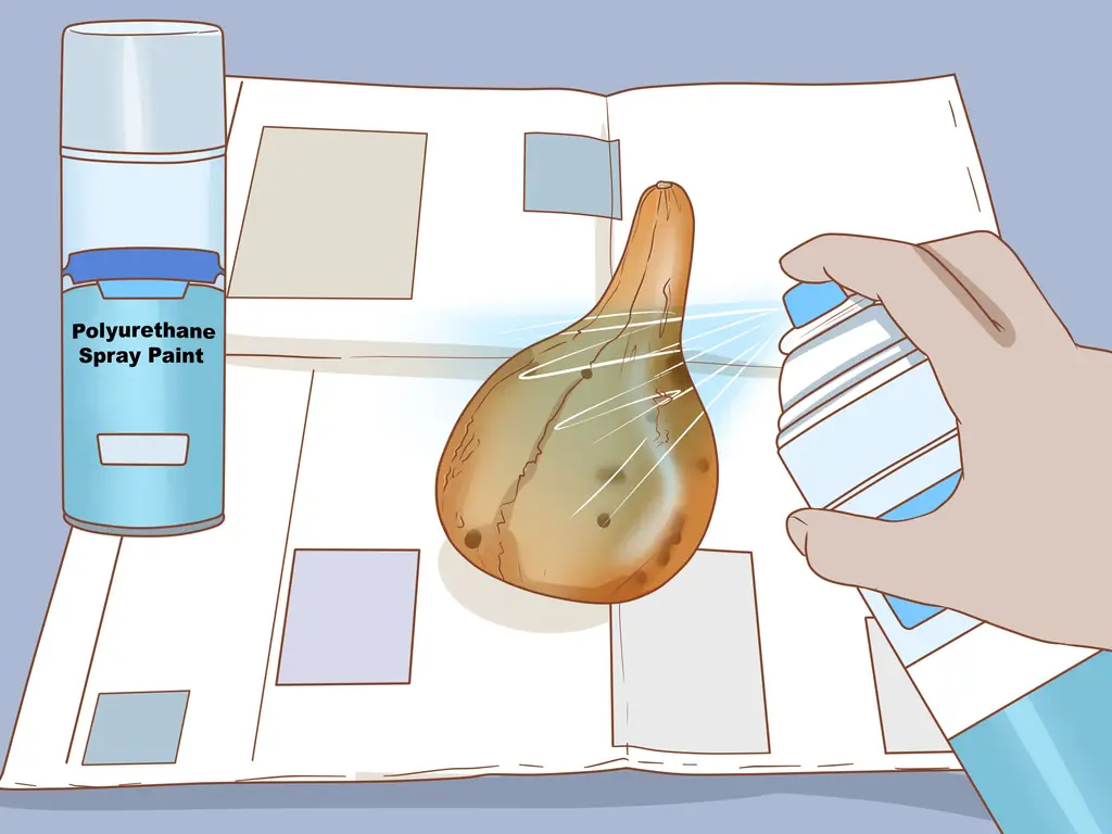 Как сушить тыквы для скворечников: 14 шагов (с иллюстрациями)