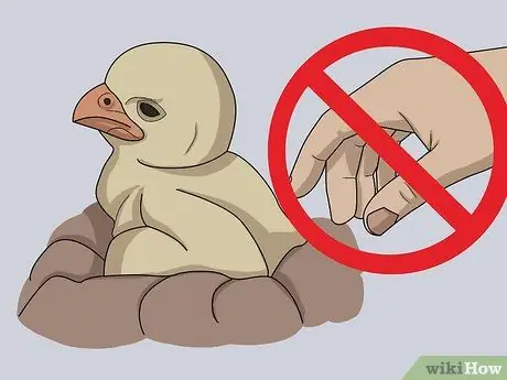 Монитор Nestboxes Шаг 5