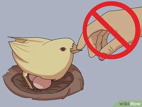 Монитор Nestboxes Шаг 7