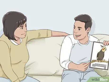 Убедите родителей завести птицу Шаг 2