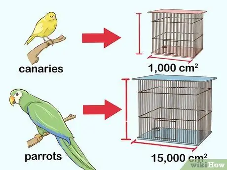 Убедите родителей завести птицу Шаг 4
