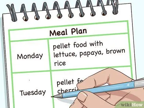 Убедите родителей завести птицу Шаг 6