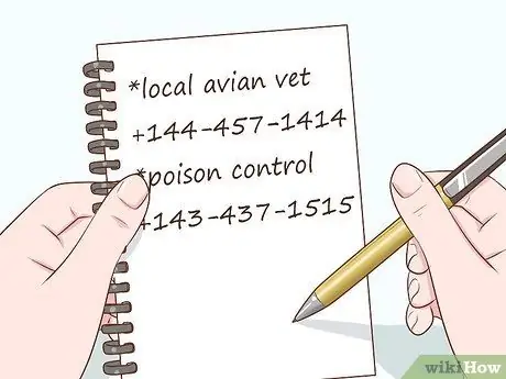 Убедите родителей завести птицу Шаг 7