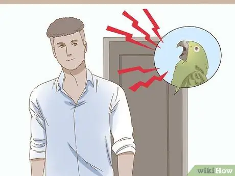 Успокойте птицу Шаг 1