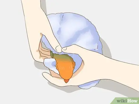 Успокойте птицу Шаг 14