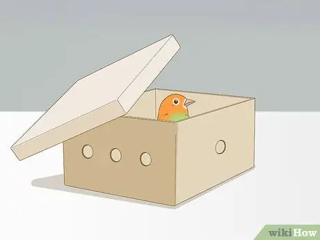 Успокойте птицу Шаг 16